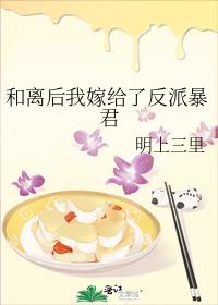 和离后我嫁给皇上的小说
